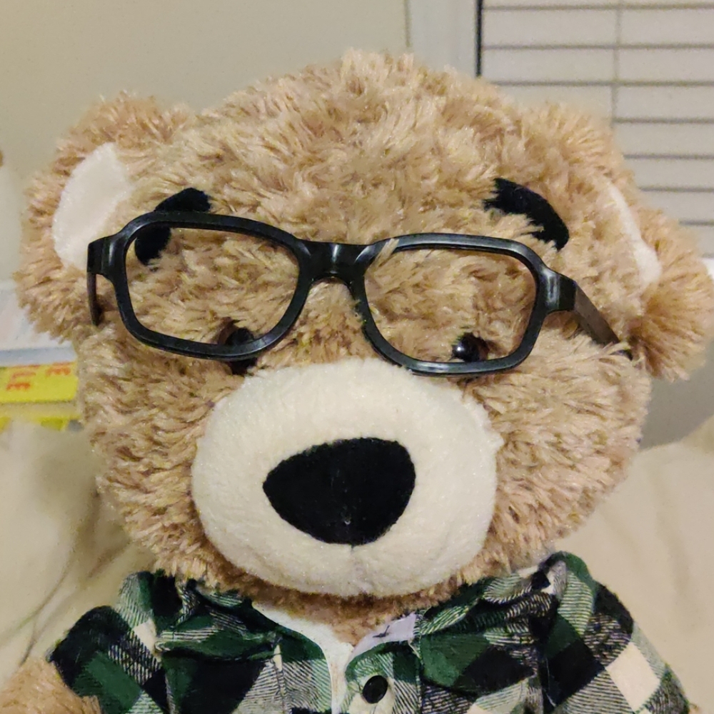 Build a Bear - Picture 2 of 7